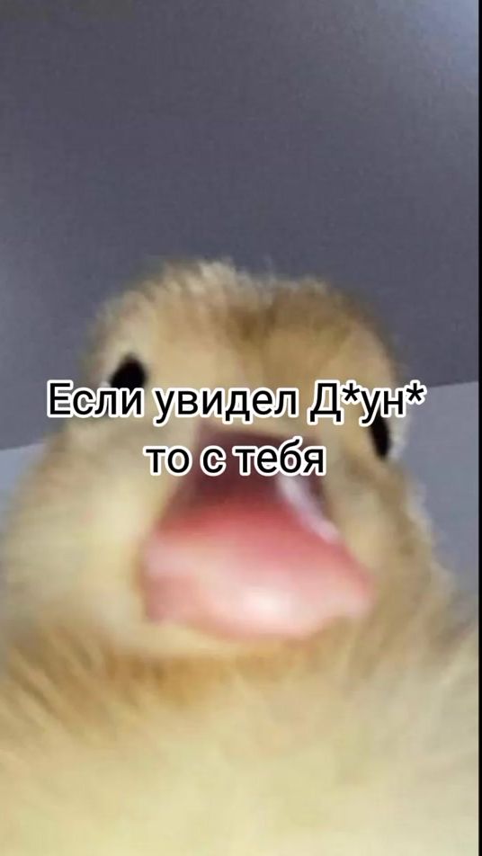 TikTok video thumbnail by kkkfyp_