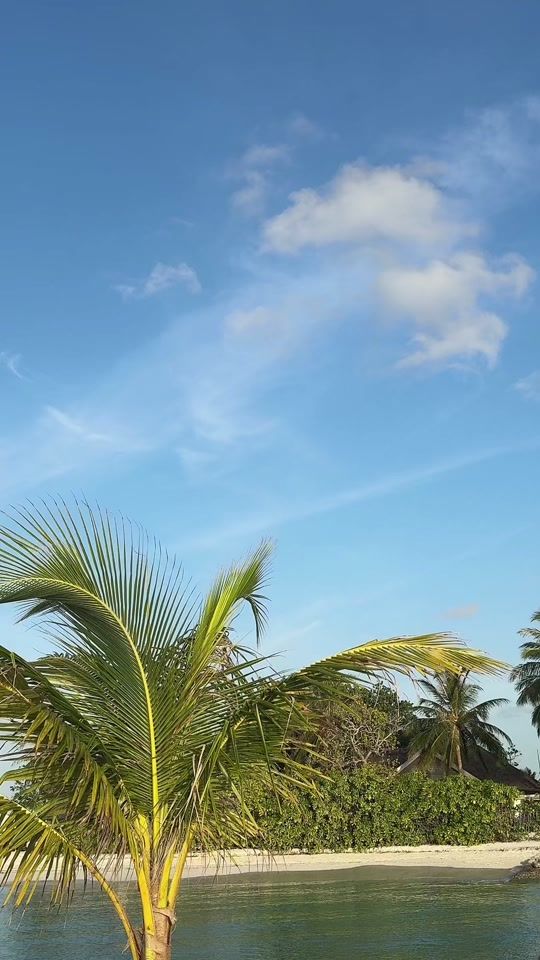 TikTok video thumbnail by elina_karimovaa