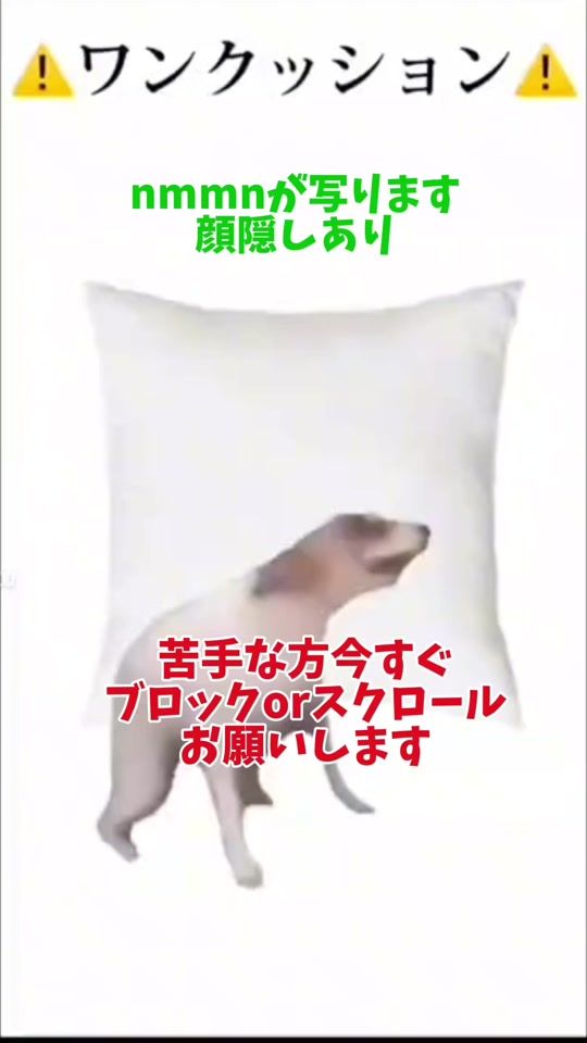 TikTok video thumbnail by fuua._fuua