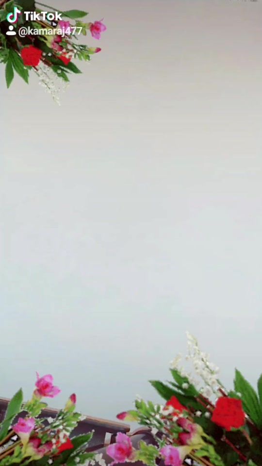 TikTok video thumbnail by kamaraj477