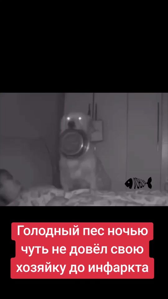 TikTok video thumbnail by kote277