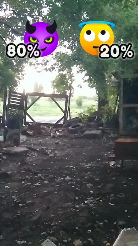 TikTok video thumbnail by zeinabaa20