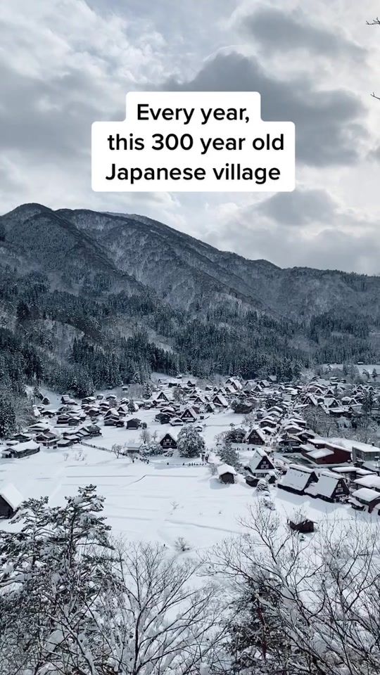 TikTok video thumbnail by tokyotoneko