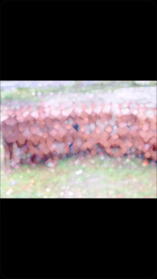 TikTok video thumbnail by djrealg17