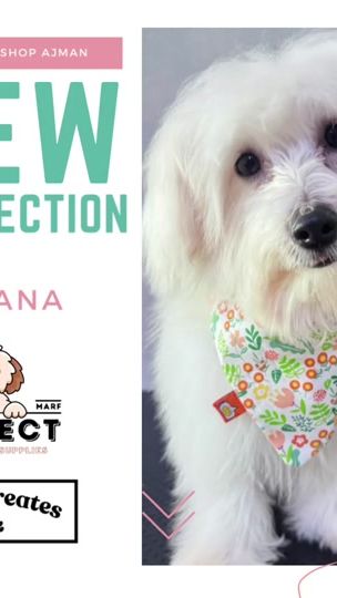 TikTok video thumbnail by marfectpetstore