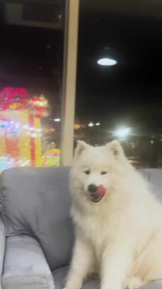 TikTok video thumbnail by jayandsom