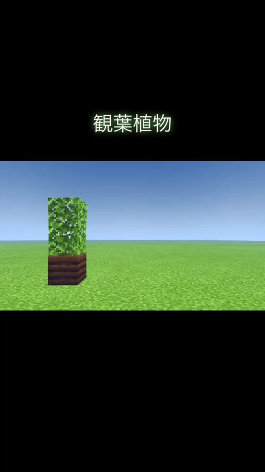TikTok video thumbnail by wandaminecraft