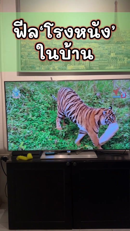 TikTok video thumbnail by fangfy_mommy