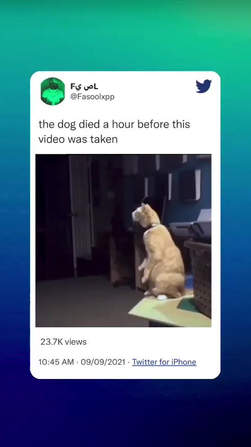 TikTok video thumbnail by fasoolxp