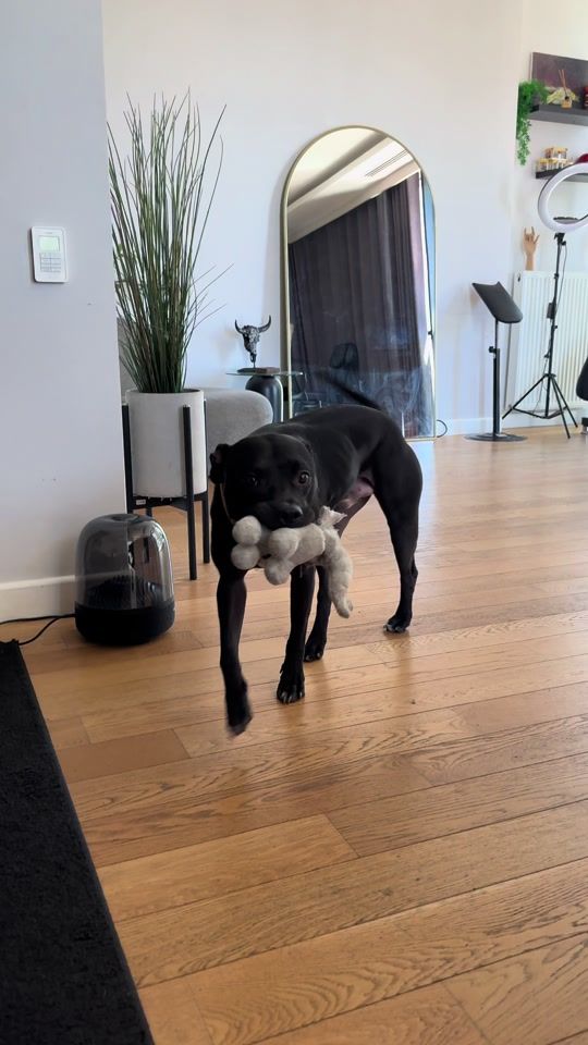 TikTok video thumbnail by berke_saka