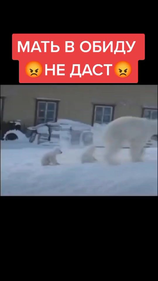 TikTok video thumbnail by nikolaspride
