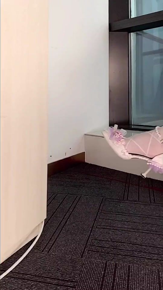 TikTok video thumbnail by sumicosmetic
