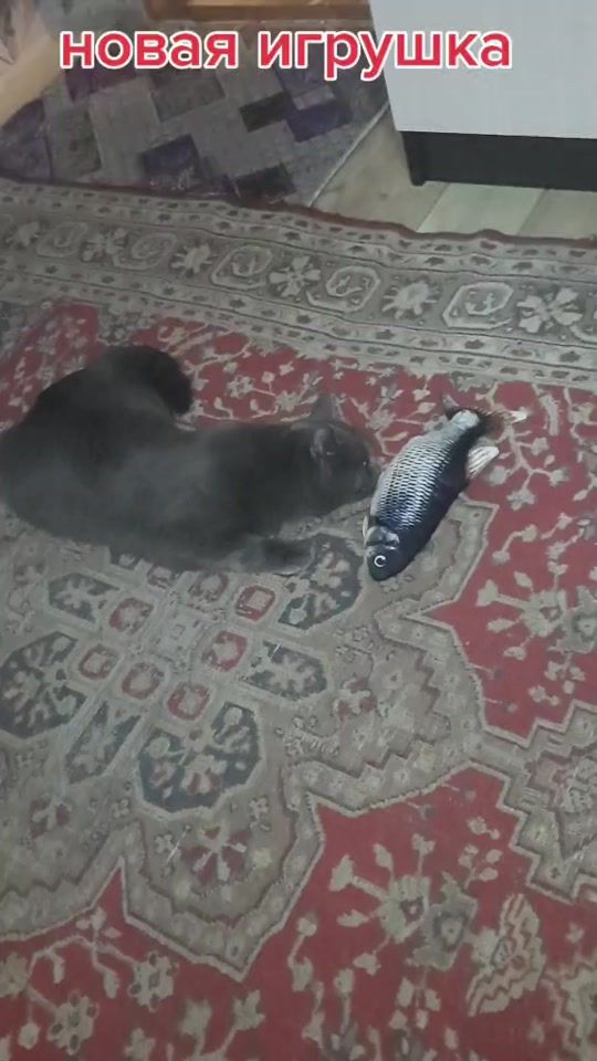 TikTok video thumbnail by 64liliya