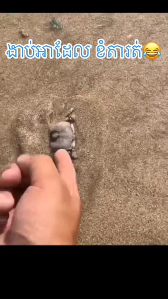 TikTok video thumbnail by ahhtiii3
