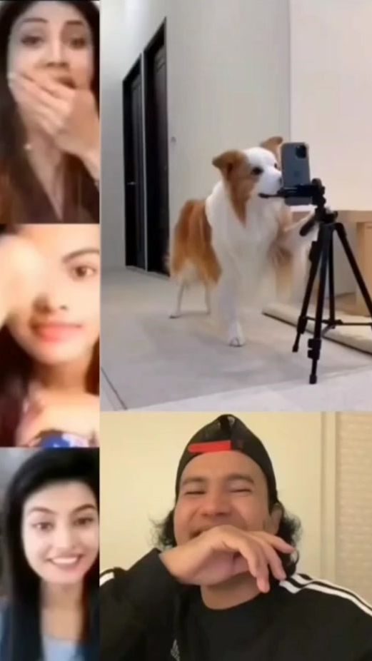 TikTok video thumbnail by gias050