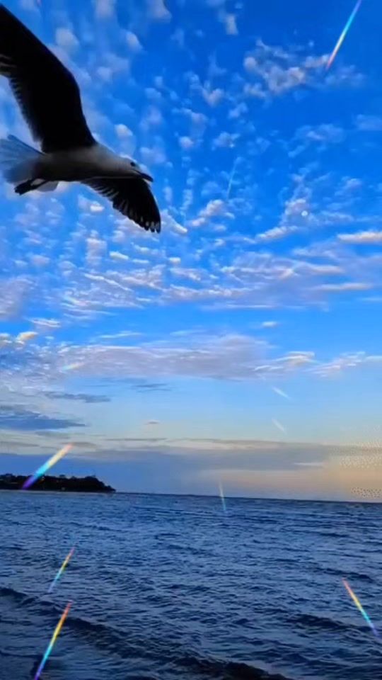 TikTok video thumbnail by irali59