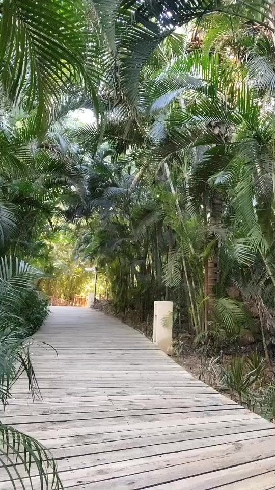 TikTok video thumbnail by samuellopez_
