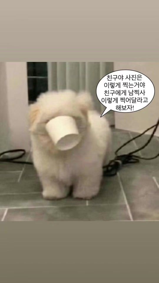 TikTok video thumbnail by joo_102v.r