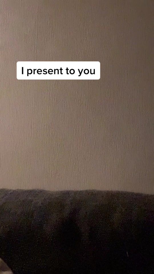 TikTok video thumbnail by stefanswidow