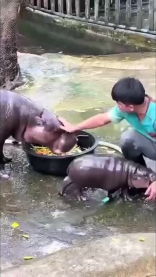 TikTok video thumbnail by hyperagentheromysahaz