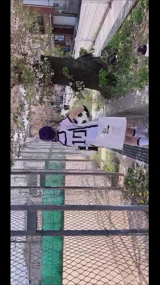 TikTok video thumbnail by kumaguchi