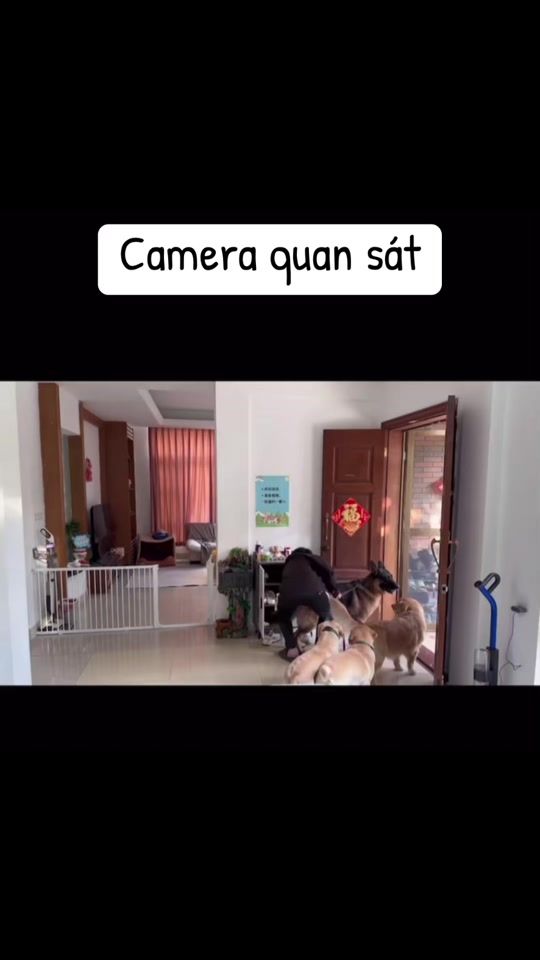TikTok video thumbnail by supsup.3