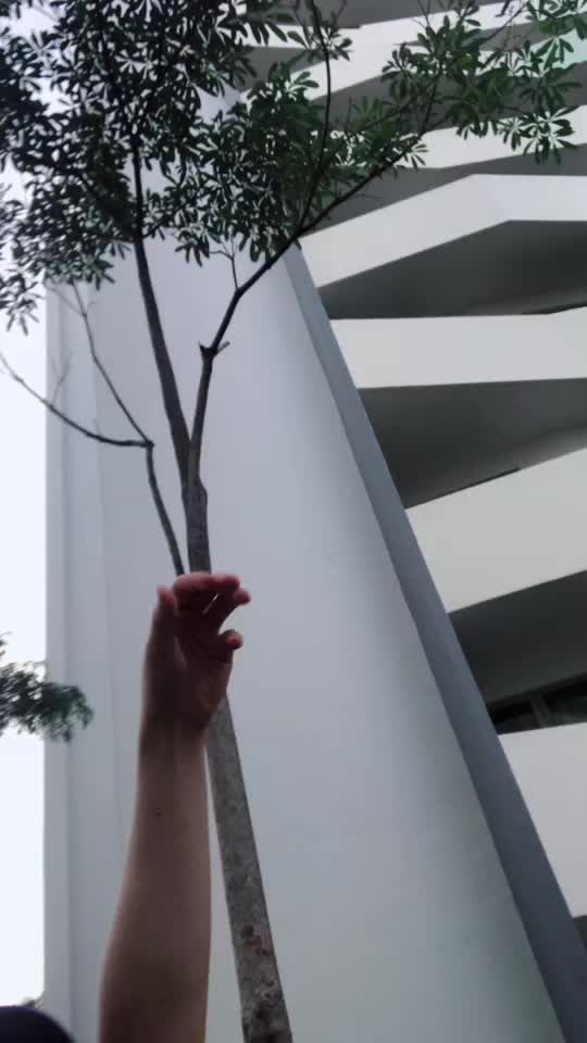 TikTok video thumbnail by ranzandniana
