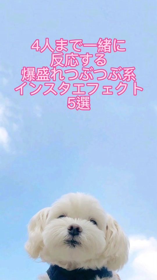 TikTok video thumbnail by believeitroots