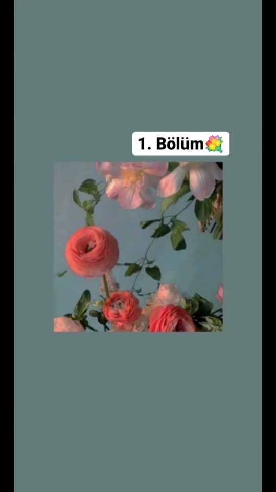 TikTok video thumbnail by bioniksx