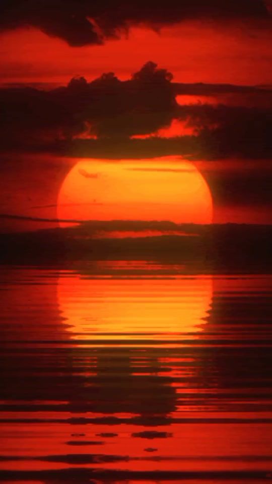 TikTok video thumbnail by irinasolnseva