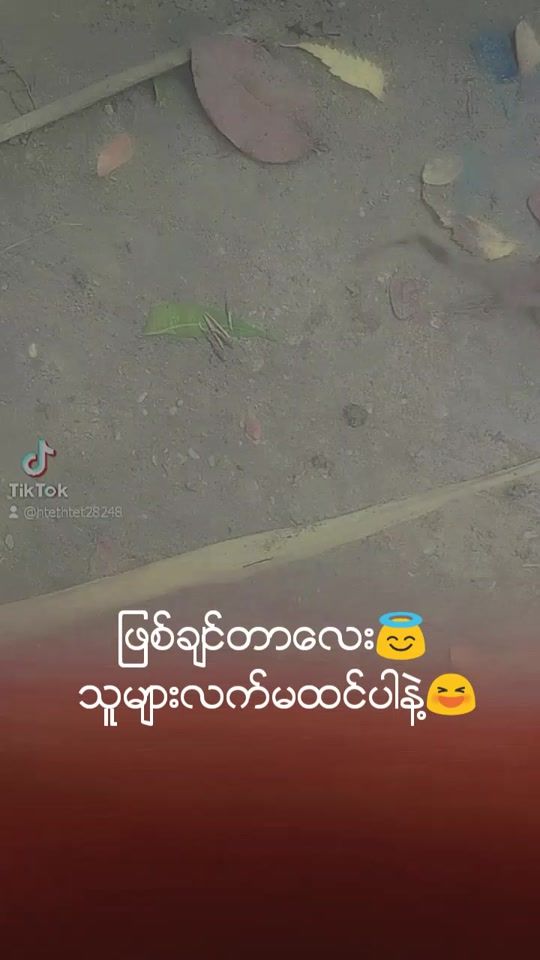 TikTok video thumbnail by htethtet28248