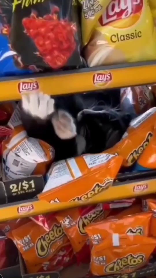 TikTok video thumbnail by mila190119