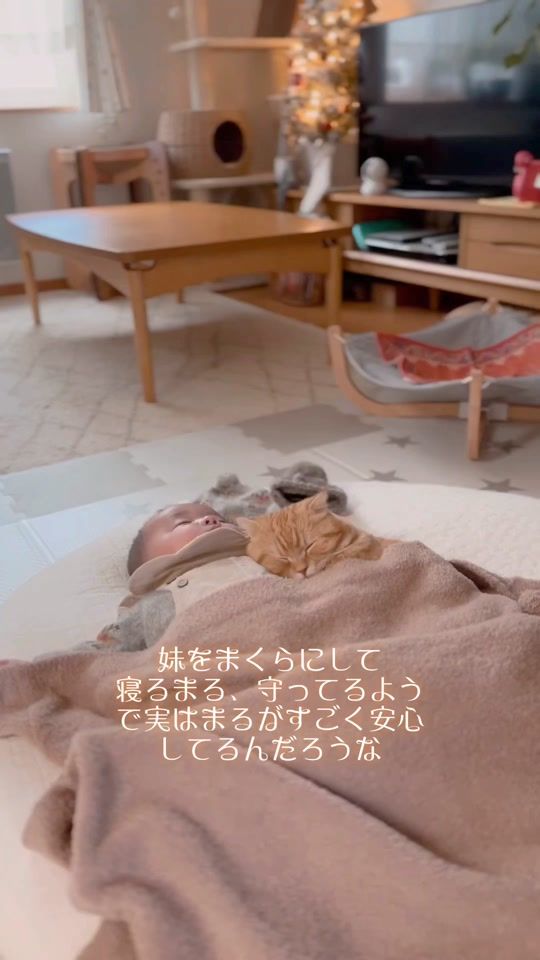 TikTok video thumbnail by hinamaruiro2023