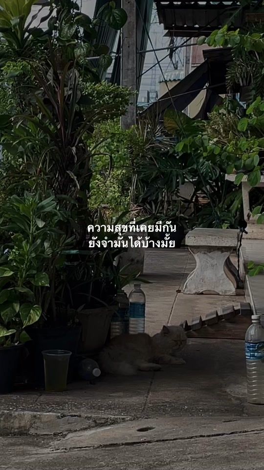 TikTok video thumbnail by _sadnessisme_