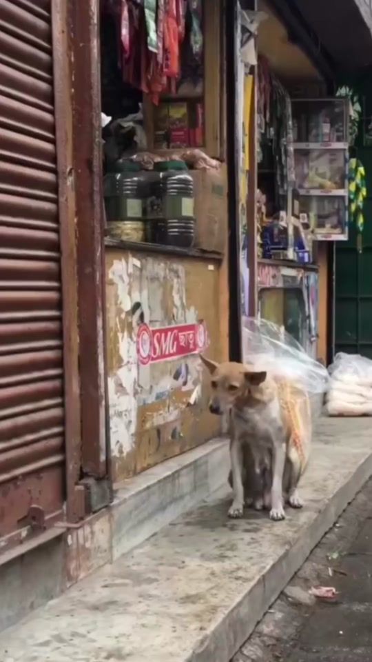 TikTok video thumbnail by suzansth1984