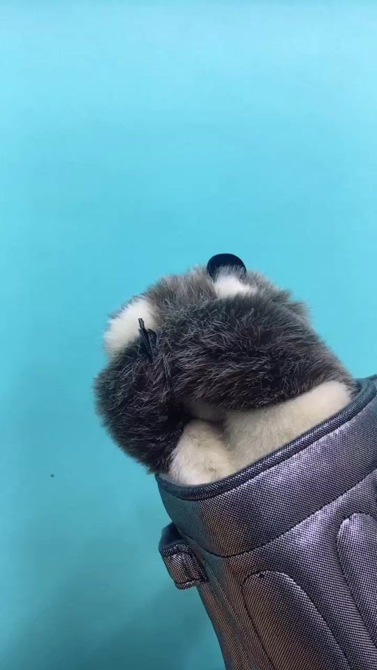 TikTok video thumbnail by jin_guri