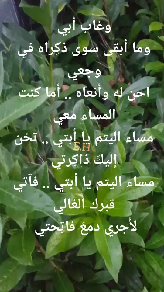TikTok video thumbnail by ehab..313