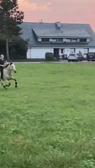 TikTok video thumbnail by fpshowjumpinghorse_cessy