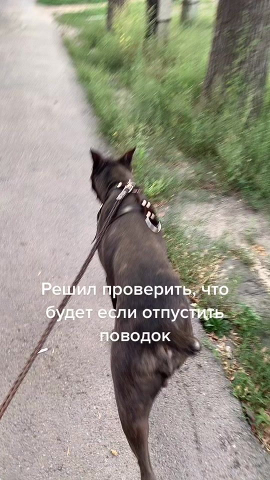 TikTok video thumbnail by ggwenger
