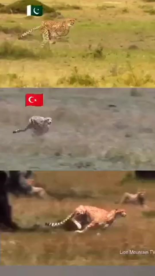 TikTok video thumbnail by israrkhan2009