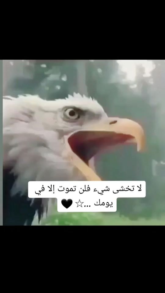 TikTok video thumbnail by a___m4801