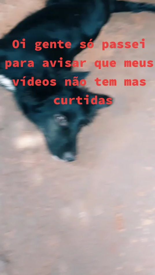 TikTok video thumbnail by dogthor2t