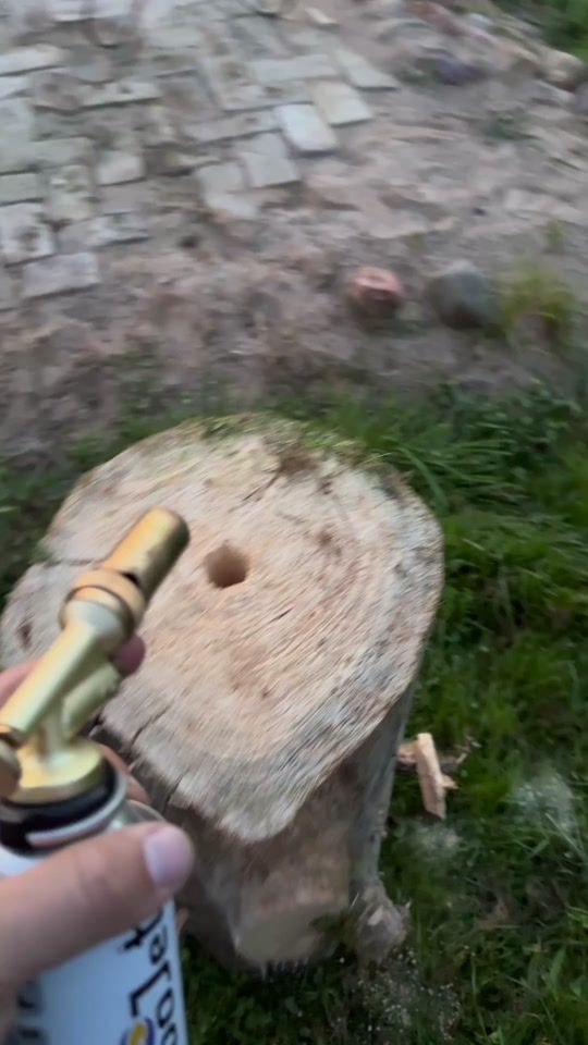 TikTok video thumbnail by grboard