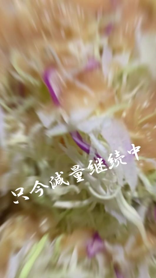 TikTok video thumbnail by kobachan.66