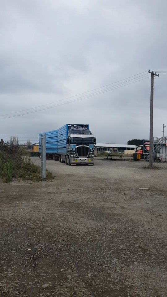 TikTok video thumbnail by beale_spotter