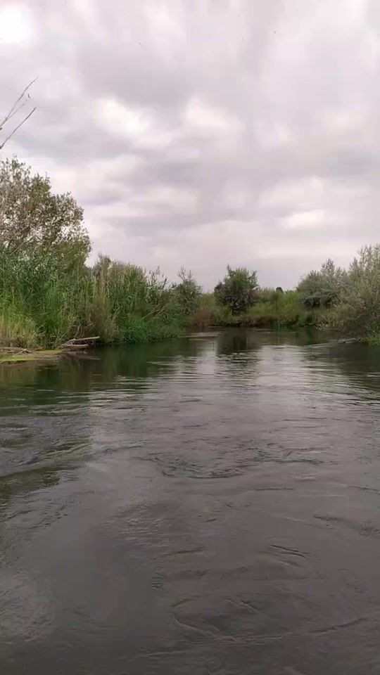 TikTok video thumbnail by lucky_fishing_kg