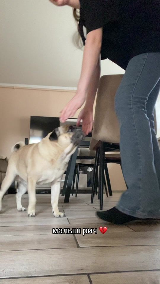 TikTok video thumbnail by girtlnn
