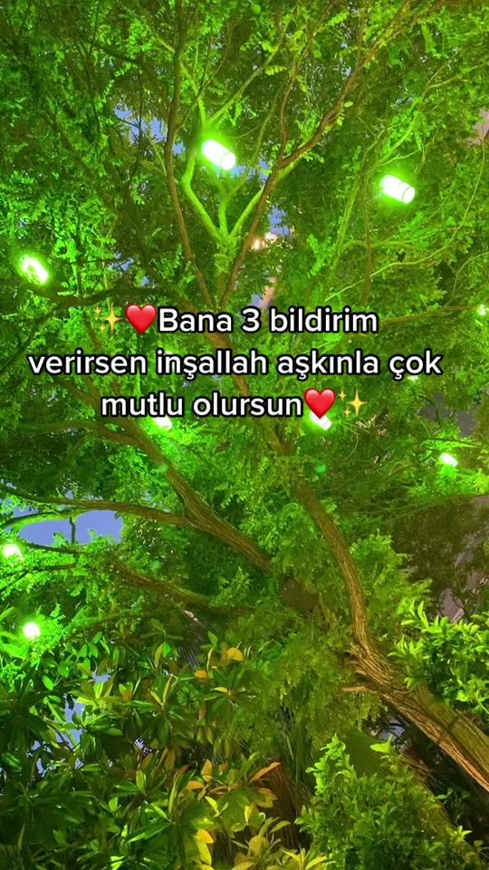 TikTok video thumbnail by elaglr1