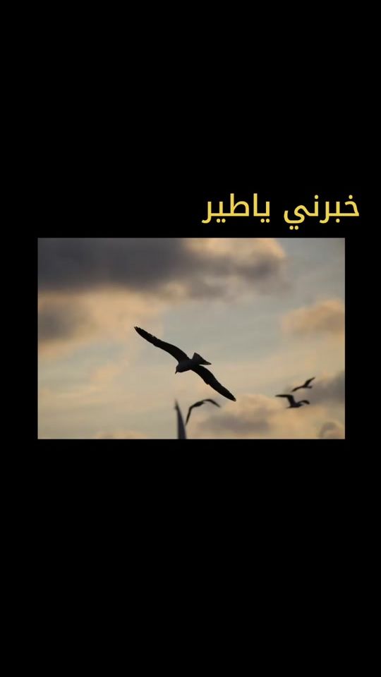 TikTok video thumbnail by s_n_a_d_86