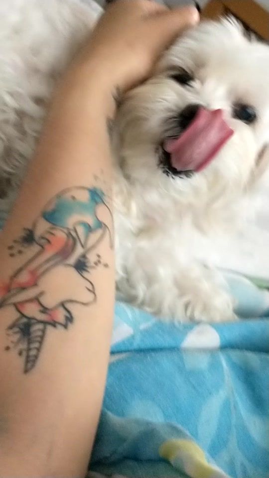 TikTok video thumbnail by peterlia1